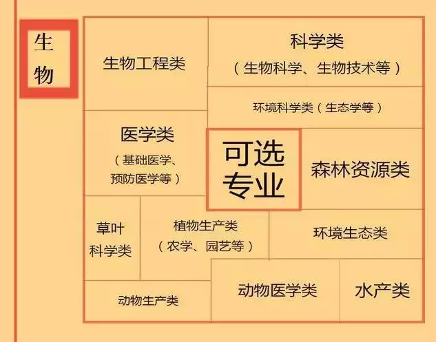 根據(jù)特長選專業(yè)，高中各門課程對(duì)應(yīng)大學(xué)專業(yè)實(shí)用盤點(diǎn)，志愿填報(bào)的你不可錯(cuò)過！