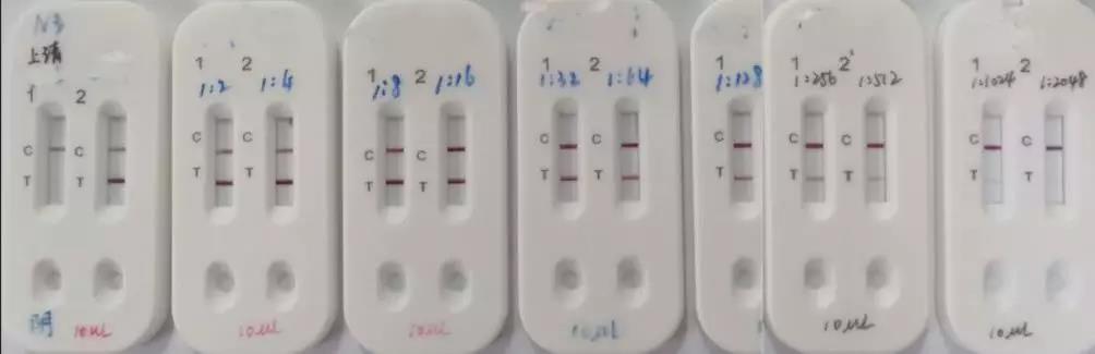 1滴血，15分鐘出結(jié)果，鐘南山院士指導研發(fā)快速檢測試劑盒